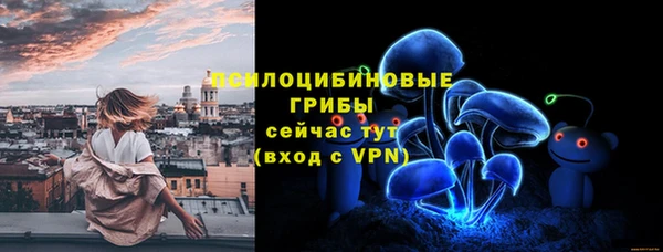 сатива Болохово