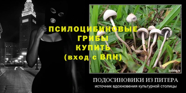дживик Алексин